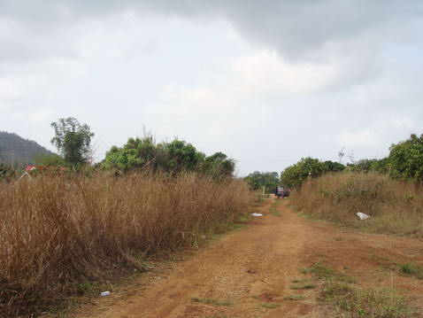 Plutalong (Sattahip) Land