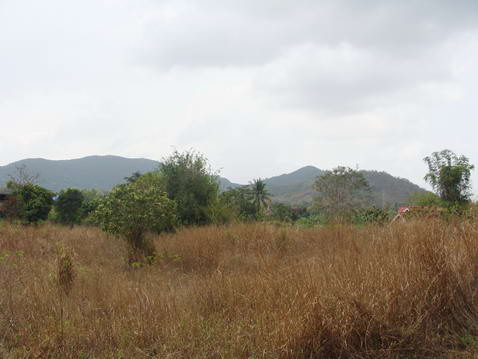 Plutalong (Sattahip) Land