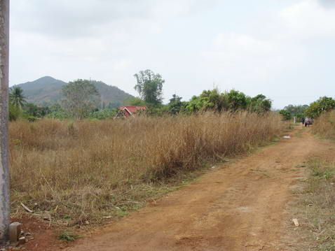 Plutalong (Sattahip) Land