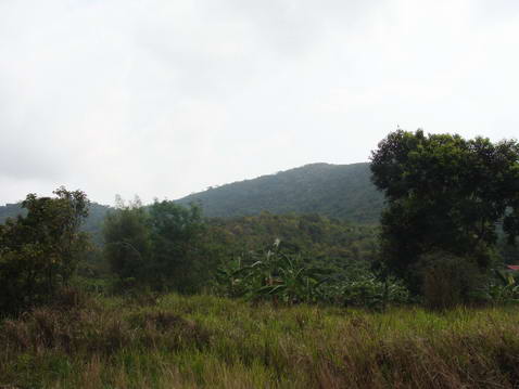 Plutalong (Sattahip) Land