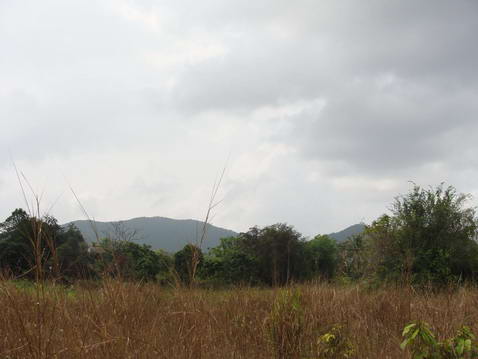 Plutalong (Sattahip) Land