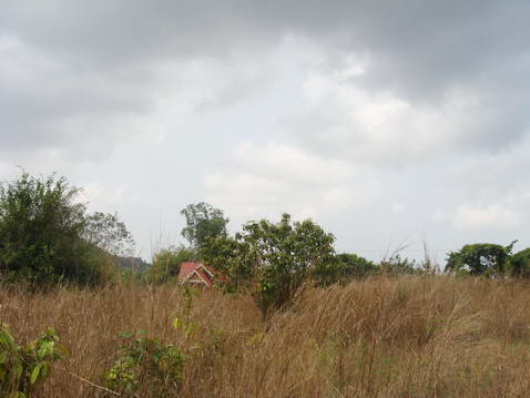 Plutalong (Sattahip) Land