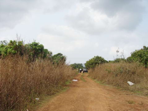 Plutalong (Sattahip) Land