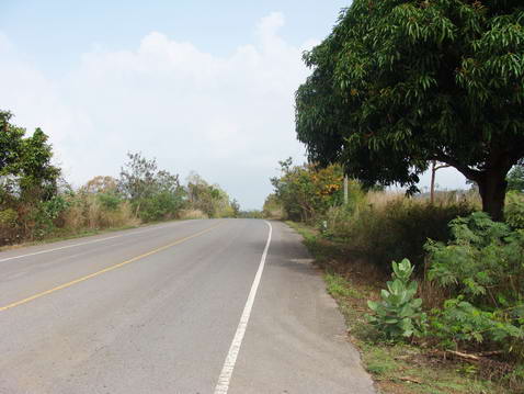 Plutalong (Sattahip) Land