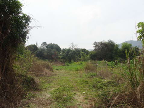 Plutalong (Sattahip) Land