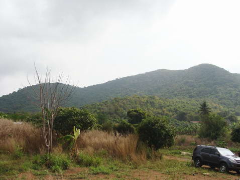 Plutalong (Sattahip) Land