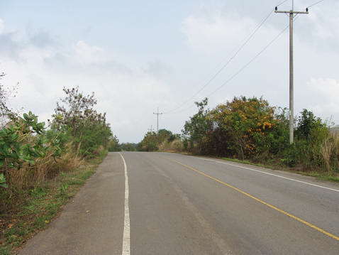 Plutalong (Sattahip) Land