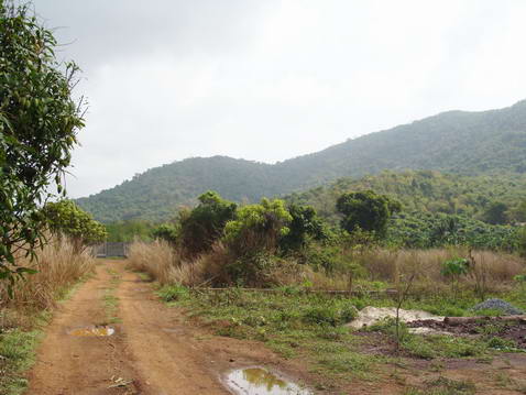 Plutalong (Sattahip) Land