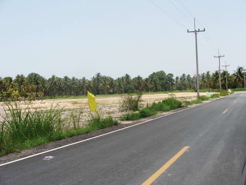 Large Land Plot for Sale