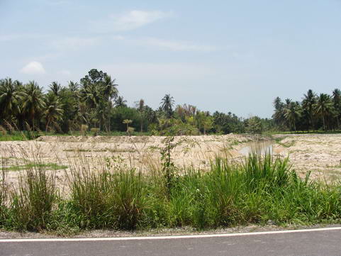 Large Land Plot for Sale