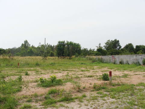 Land for Mabprachan Estate for Sale