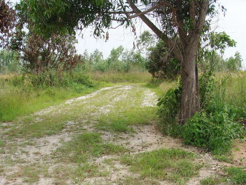 Land for Mabprachan Estate for Sale