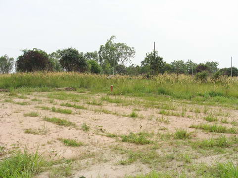 Land for Mabprachan Estate for Sale