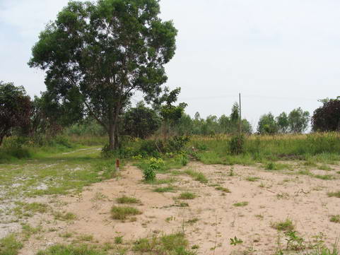 Land for Mabprachan Estate for Sale