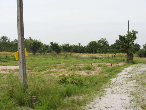 Land for Mabprachan Estate for Sale