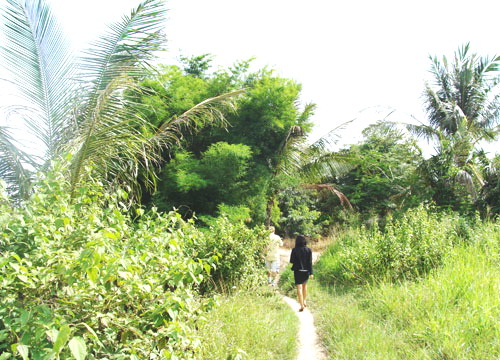 North Pattaya Land Allotment