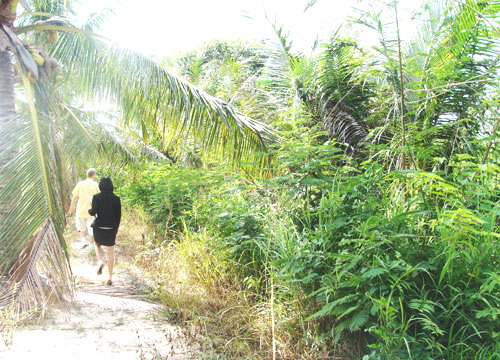 North Pattaya Land Allotment