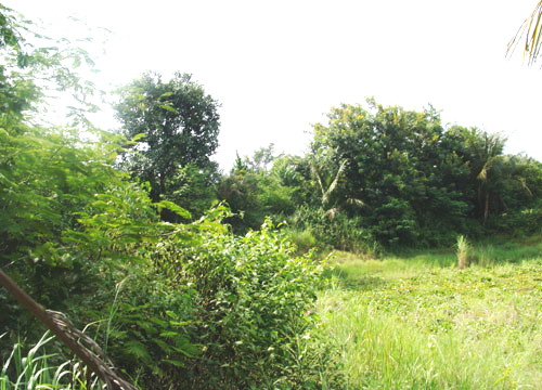 North Pattaya Land Allotment