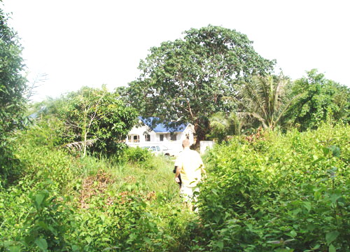 North Pattaya Land Allotment