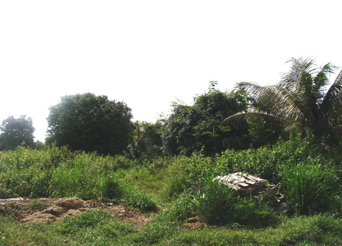 North Pattaya Land Allotment