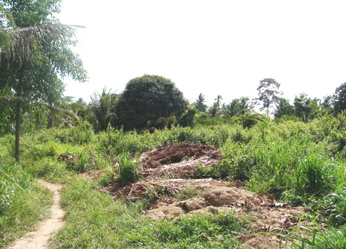 North Pattaya Land Allotment