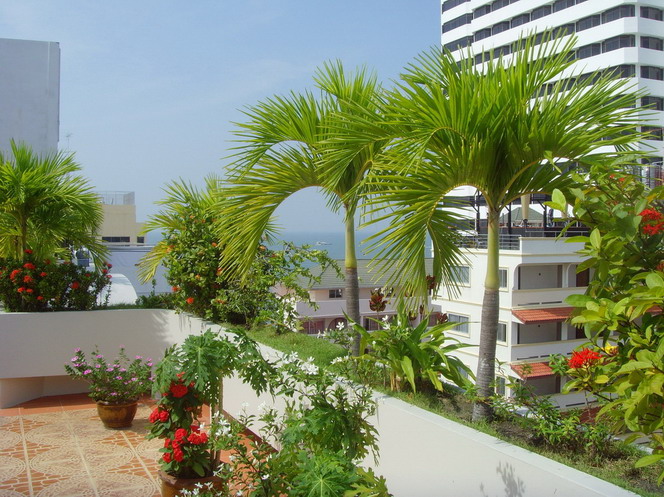 Pattaya Beach Penthouse
