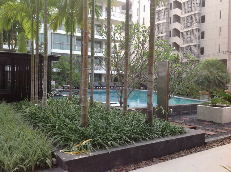 Hot !!!!!!! Condo Beach front for rent