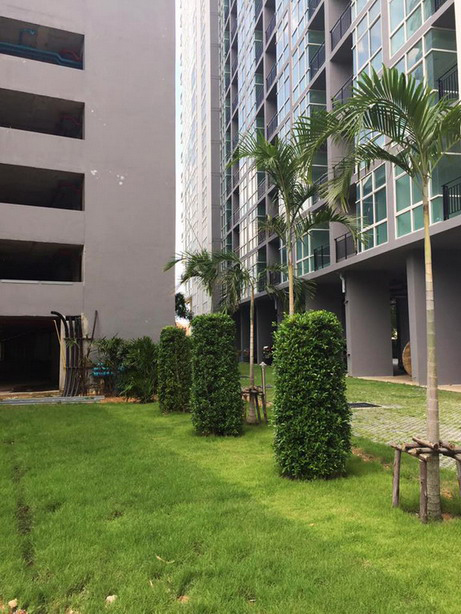 RESALE New Condo in Jomtien Beach Pattaya