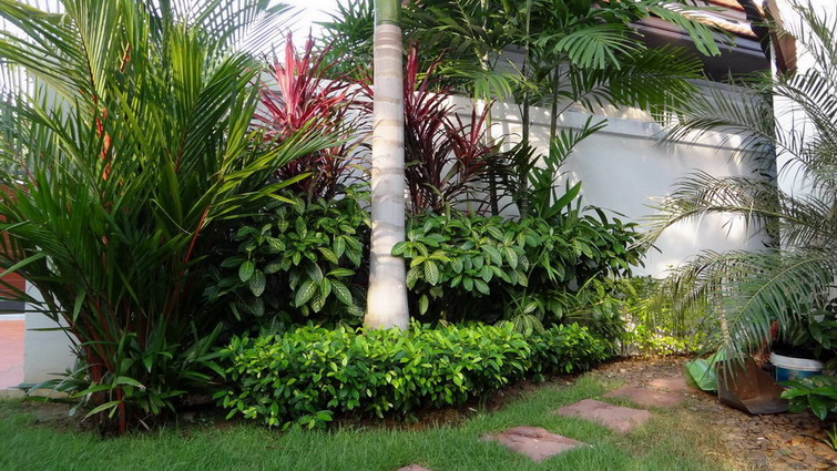 Huge Tropical Garden and Private Pool House for Rent