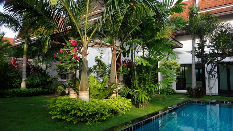 Huge Tropical Garden and Private Pool House for Rent