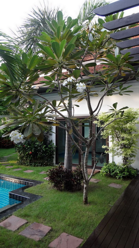 Huge Tropical Garden and Private Pool House for Rent