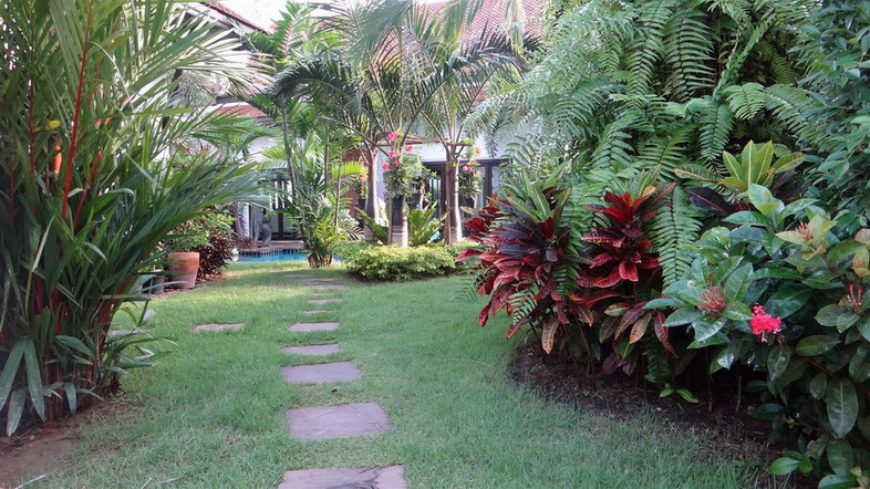 Huge Tropical Garden and Private Pool House for Rent