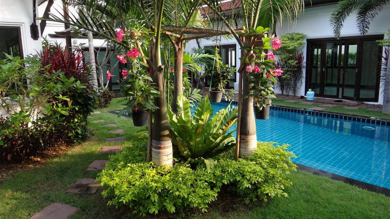 Huge Tropical Garden and Private Pool House for Rent