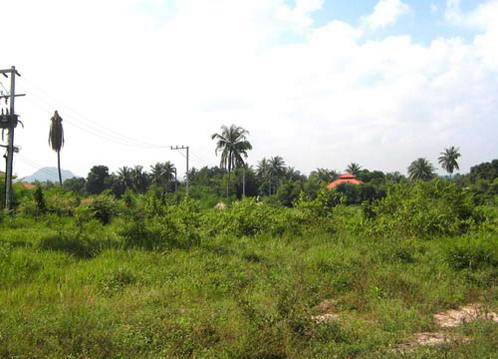 Land For Sale