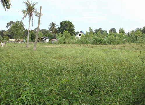 Land For Sale