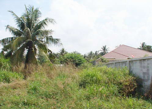 Land For Sale