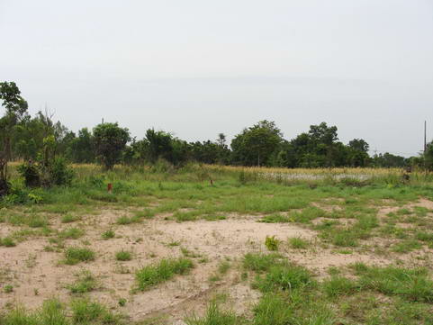 Land for Mabprachan Estate for Sale