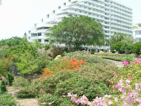 Jomtien Seaview Condo for Sale or Rent