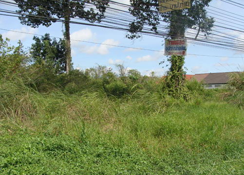 Land For Sale