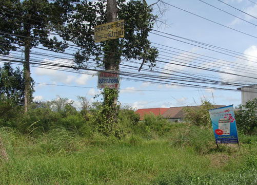 Land For Sale