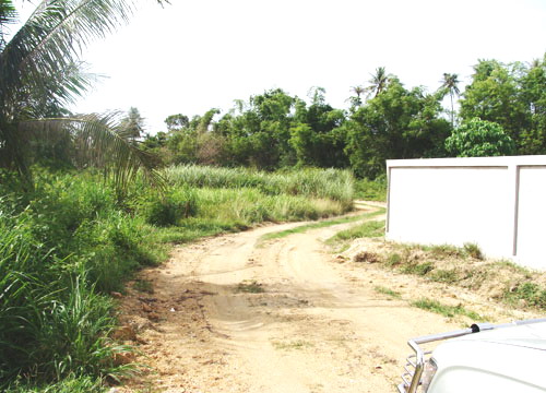 North Pattaya Land Allotment