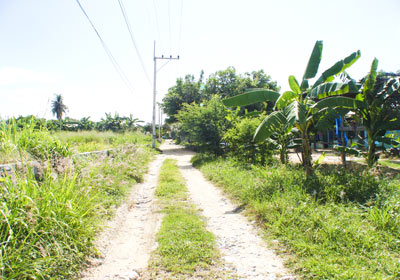 Land For Sale